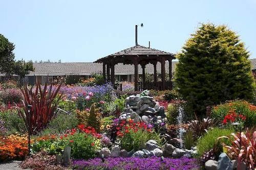 Surf Motel And Gardens Fort Bragg Bagian luar foto