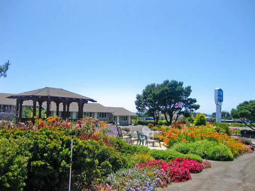 Surf Motel And Gardens Fort Bragg Bagian luar foto